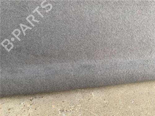 Interior roof light HYUNDAI KONA (OS, OSE, OSI)  | BP23197548I8 