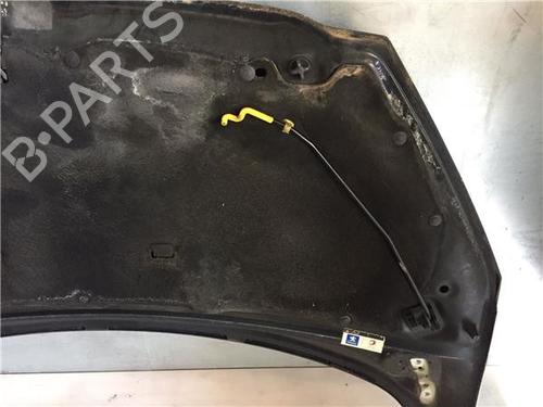 Hood PEUGEOT 308 I (4A_, 4C_)  | BP11816534C1