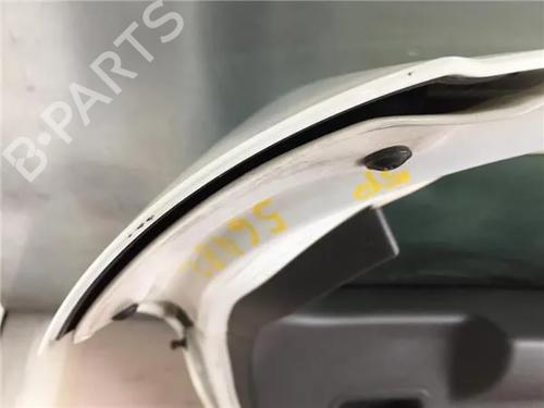 Tailgate FORD FIESTA VI (CB1, CCN) 1.5 TDCi | BP10010265C6 