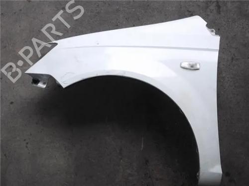 Used Left front fenders HYUNDAI GETZ (TB) 1.1 (67 hp) 12120235