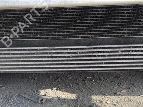 Used Intercooler Intercooler RENAULT GRAND SCÉNIC III (JZ0/1_) 1.5 dCi (JZ0B, JZ07) (106 hp) 29134690 29134690
