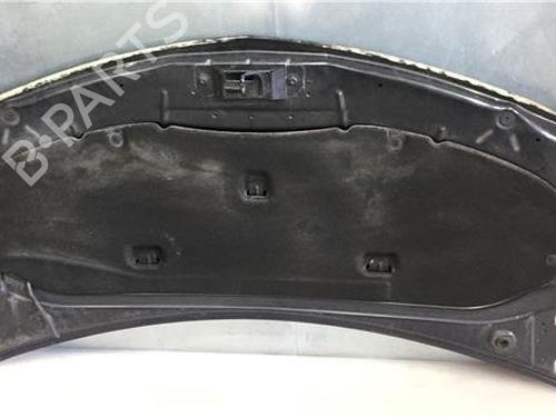 Hood RENAULT CLIO III (BR0/1, CR0/1)  | BP9685691C1 