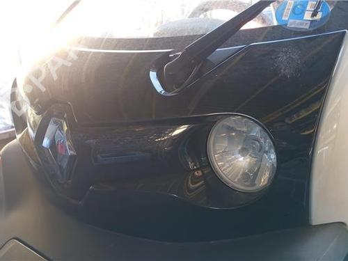 Grill RENAULT TWIZY (MAM_) | BP32450888C40