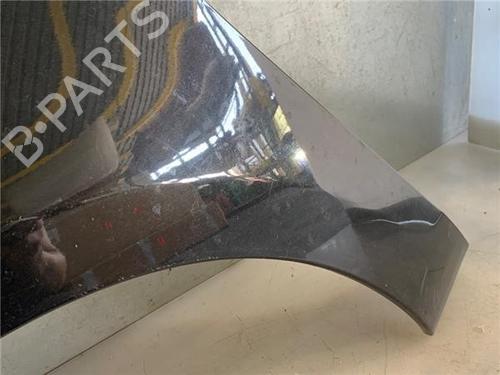 Left front fenders RENAULT GRAND SCÉNIC III (JZ0/1_) 1.5 dCi (JZ0B, JZ07) | BP29134658C41 