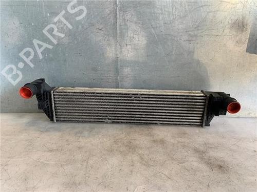 Used Intercooler RENAULT ESPACE IV (JK0/1_) 2.0 dCi (JK03, JK04, JK1C, JK1G, JK1J, JK1K) (173 hp) 25719161