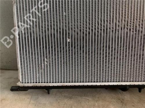 Water radiator PEUGEOT 307 (3A/C)  | BP31207002M31 