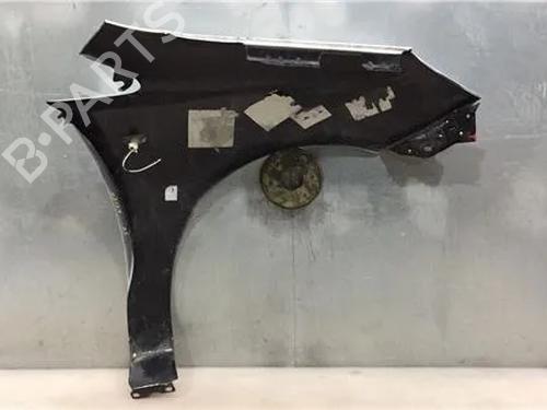 Left front fenders OPEL CORSA D (S07) 1.3 CDTI (L08, L68) | BP11342815C41 