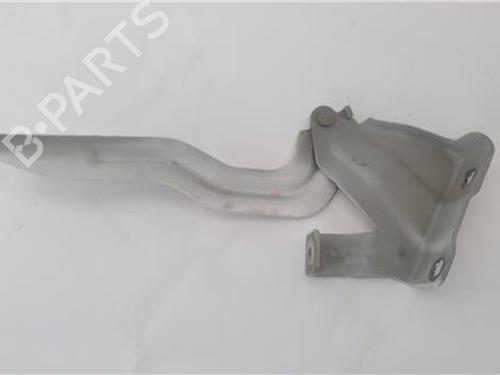 Used Hinge/Door check strap NISSAN QASHQAI II (J11, J11_) [2013-2026]  25719180