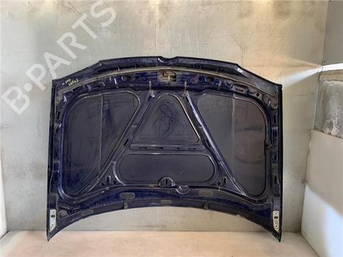 Hood VW GOLF IV (1J1)  | BP22132675C1 