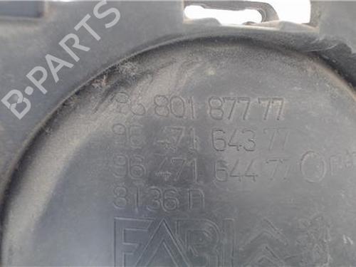 Front right interior door handle CITROËN C3 I (FC_, FN_) 1.4 HDi | BP14333907I14 