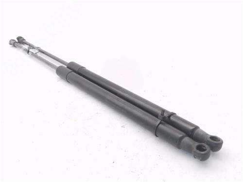 Tailgate lift support NISSAN QASHQAI I (J10, NJ10) 1.5 dCi | BP30154109C138