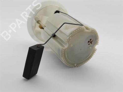 Fuel pump PEUGEOT 207 (WA_, WC_)  | BP20137324M76