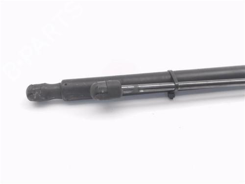 Tailgate lift support CHEVROLET ZAFIRA  | BP30135508C138 