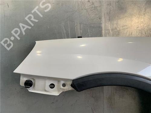 Left front fenders OPEL COMBO Box Body/MPV 1.3 CDTI 16V | BP13902685C41 