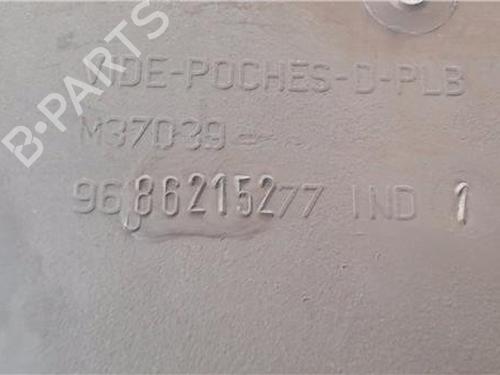 Glove box PEUGEOT 207 (WA_, WC_)  | BP30981137C95 