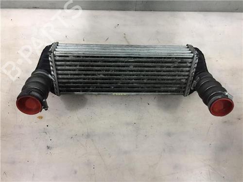 Used Intercooler FORD TRANSIT CONNECT (P65_, P70_, P80_) [2002-2025]  11249983