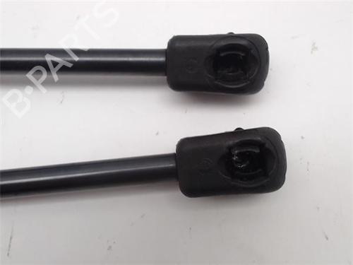 Tailgate lift support FORD FIESTA V (JH_, JD_)  | BP14342786C138 