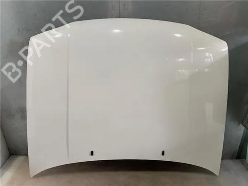 Used Hood VW GOLF III (1H1) [1989-1998]  24338474
