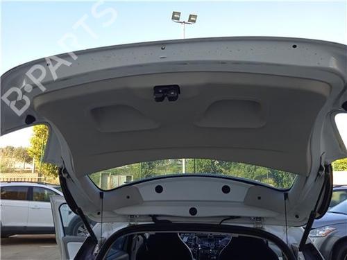 Used Tailgate RENAULT ZOE (BFM_) [2012-2026]  20658241