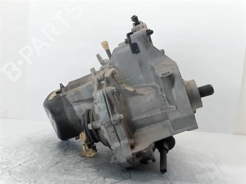 Gearbox RENAULT CLIO III (BR0/1, CR0/1)  | BP12597196M3 