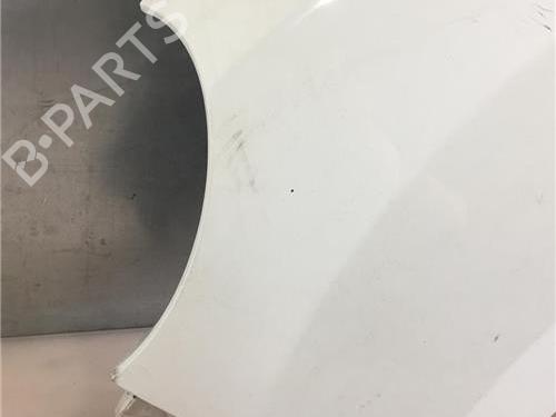 Left front fenders RENAULT KANGOO / GRAND KANGOO II (KW0/1_) 1.5 dCi 85 (KW0K, KW0L, KW0B) | BP11342521C41 