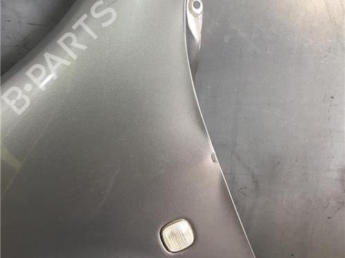 Left front fenders SKODA FABIA I (6Y2) 1.4 TDI | BP11342524C41 