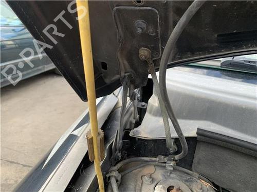 Hinge/Door check strap JEEP COMPASS (MK49) 2.0 CRD | BP32417963C146 