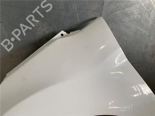 Left front fenders FORD FIESTA VI (CB1, CCN) 1.25 | BP20296391C41 