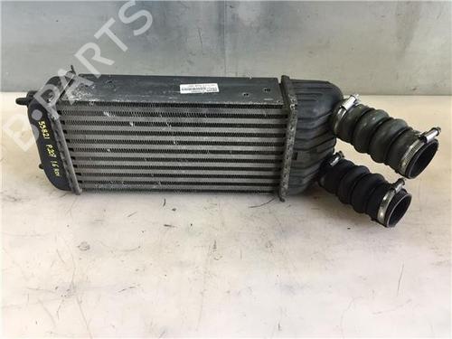 Used Intercooler PEUGEOT 207 (WA_, WC_) 1.6 HDi (90 hp) 11918148