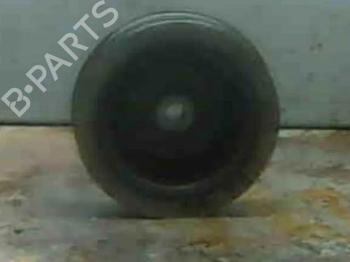 Polea RENAULT MEGANE Scenic (JA0/1_) [1996-2001]  14334229
