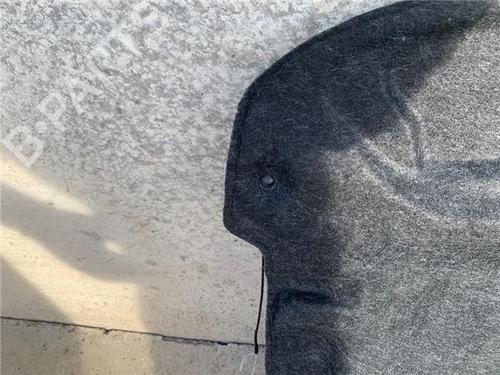Rear parcel shelf PEUGEOT 307 (3A/C)  | BP17048090C85 