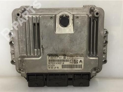 Used Electronic module PEUGEOT 207 (WA_, WC_) 1.6 HDi (90 hp) 10983092
