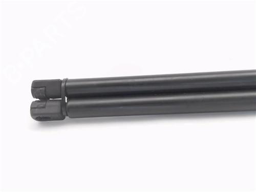 Tailgate lift support VW POLO IV (9N_, 9A_)  | BP29063109C138 