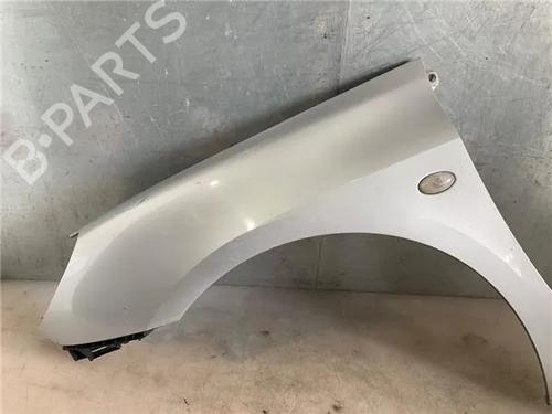 Left front fenders PEUGEOT 307 (3A/C) 2.0 HDi 90 | BP26587649C41 