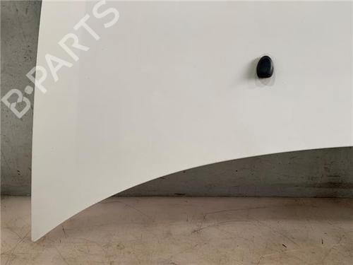 Hood CITROËN C3 I (FC_, FN_)  | BP21359706C1 