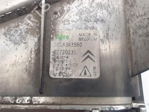 Left front fog light CITROËN SAXO (S0, S1)  | BP13918102C30 