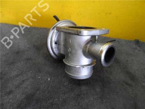 Egr BMW 3 (E46) 320 d | BP9696087M69 