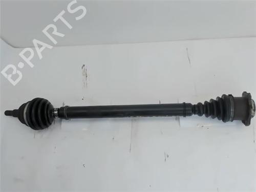 Antriebswelle rechts vorne für VW GOLF IV (1J1) 1.9 TDI (110 hp) 11340974
