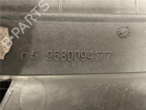 Grill CITROËN C3 I (FC_, FN_)  | BP29754465C40 