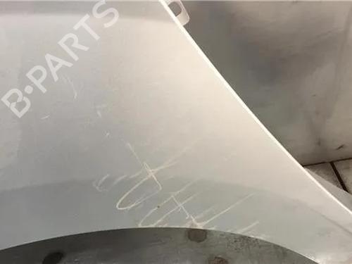 Left front fenders RENAULT KANGOO / GRAND KANGOO II (KW0/1_) 1.5 dCi 70 (KW0V, KW0A) | BP11341661C41 