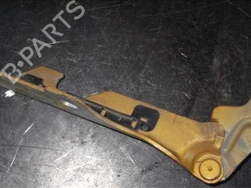 Used Hinge/Door check strap RENAULT CLIO II (BB_, CB_) [1998-2016]  14335962