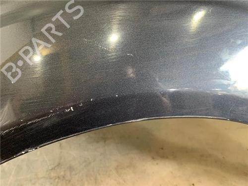 Left front fenders FORD FIESTA V (JH_, JD_) 1.4 TDCi | BP29614138C41 