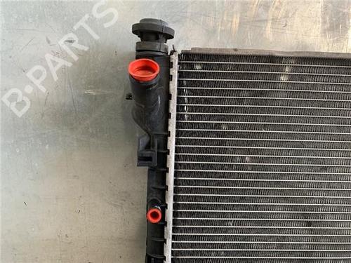 Intercooler FORD TRANSIT CONNECT (P65_, P70_, P80_) 1.8 TDCi | BP16521511M30 