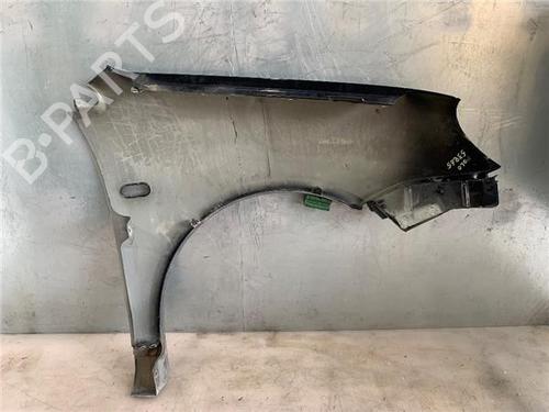 Left front fenders VW POLO (9N_, 9A_)  | BP13921531C41 