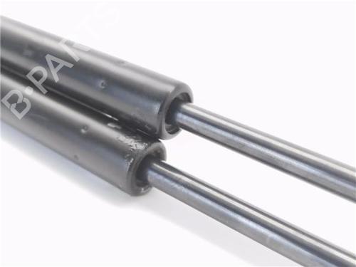 Tailgate lift support VW POLO IV (9N_, 9A_)  | BP29063109C138 