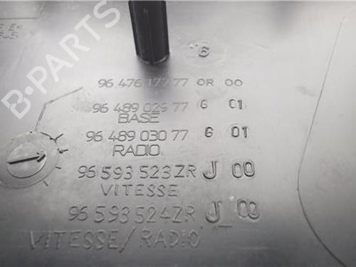 Other PEUGEOT 206 CC (2D)  | BP31719017O1 