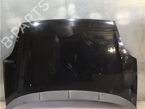 Used Hood FIAT GRANDE PUNTO (199_) 1.9 D Multijet (130 hp) 9685604