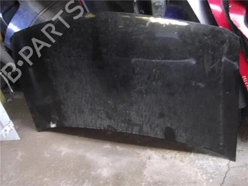 Used Hood RENAULT MEGANE II (BM0/1_, CM0/1_) 1.9 dCi (BM0G, CM0G) (120 hp) 12120261