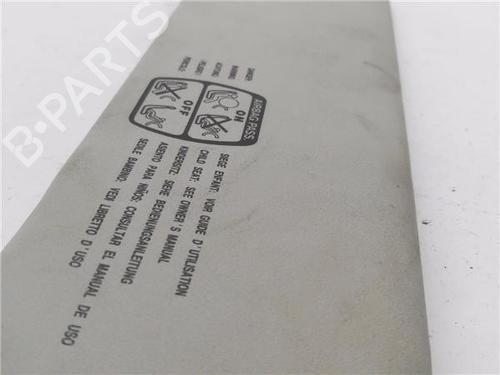 Right sun visor PEUGEOT 206 CC (2D)  | BP31990670I2 