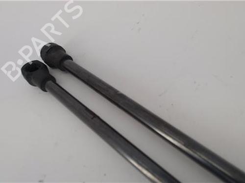 Tailgate lift support SEAT IBIZA III (6L1) 1.4 16V | BP24415900C138